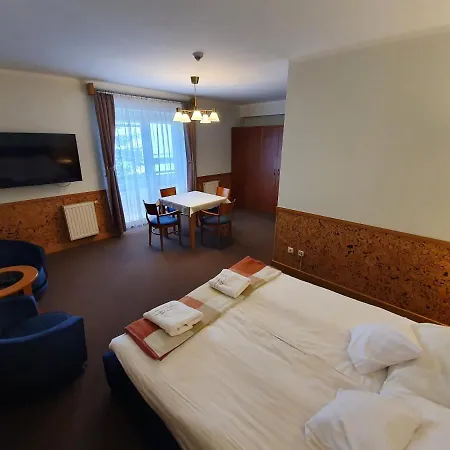 Goscinne Przy Sadzie Apartman