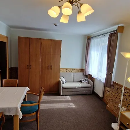 Апартаменты Goscinne Przy Sadzie Мушина